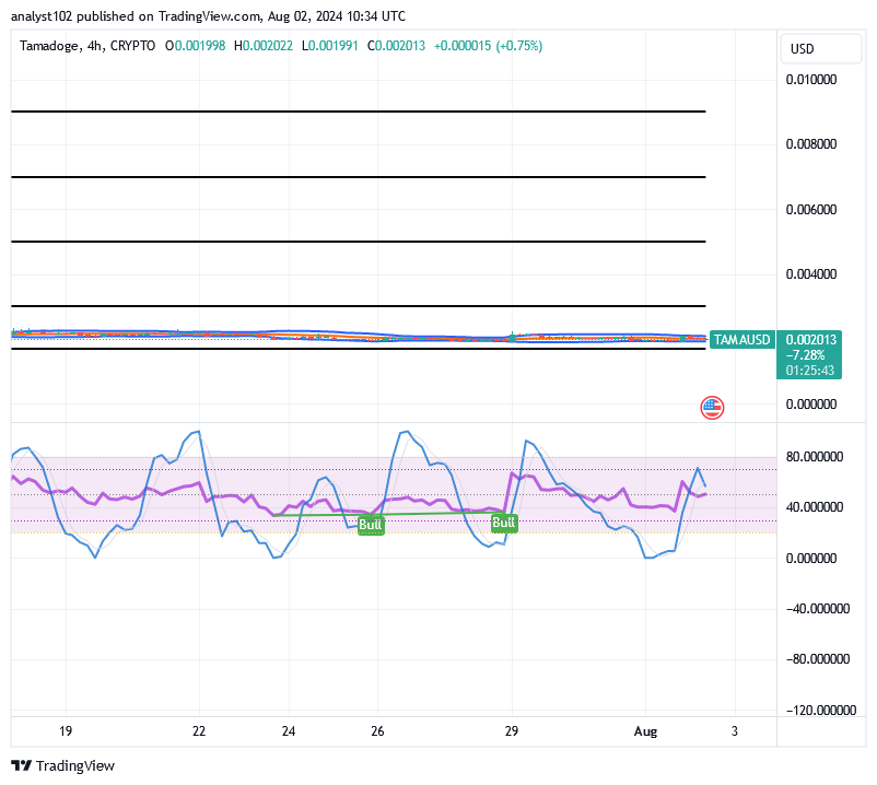 Tamadoge (TAMA/USD) Price Is Fine-tuning Basis, Settling for Rises