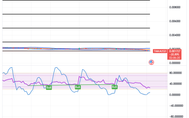 Tamadoge (TAMA/USD) Market Sets on Basing, Signaling Rises