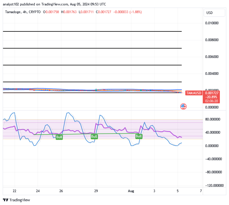 Tamadoge (TAMA/USD) Market Sets on Basing, Signaling Rises