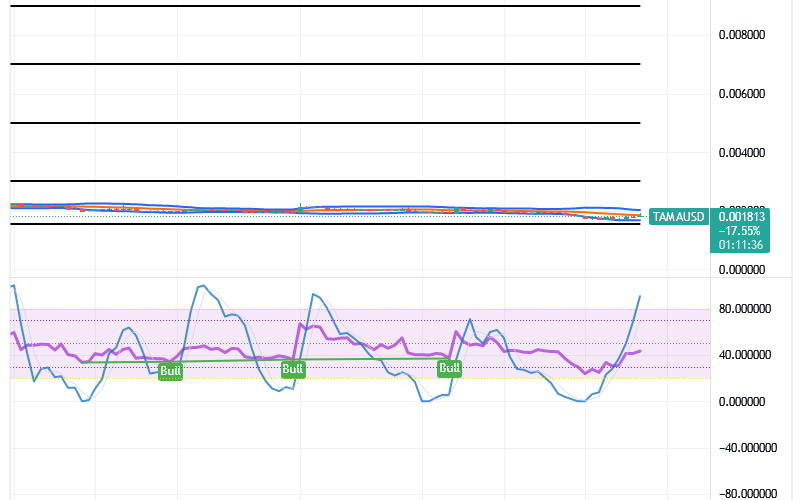 Tamadoge (TAMA/USD) Market Is Recessing, Composing Spikes