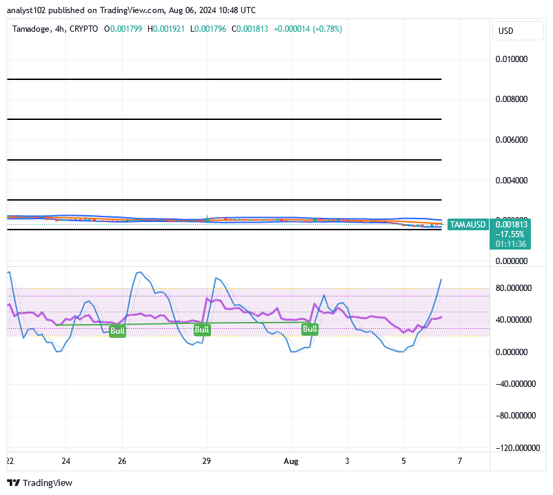 Tamadoge (TAMA/USD) Market Is Recessing, Composing Spikes