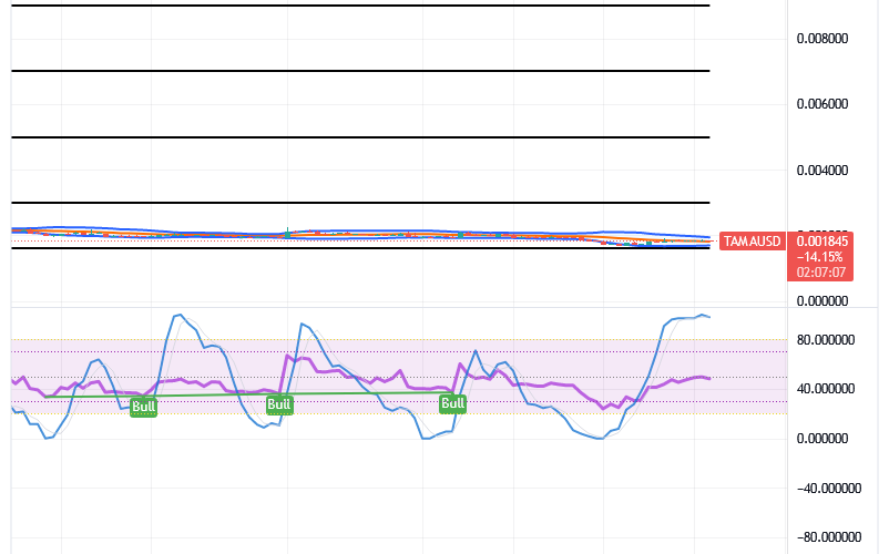 Tamadoge (TAMA/USD) Market Waves About, Connoting Rises