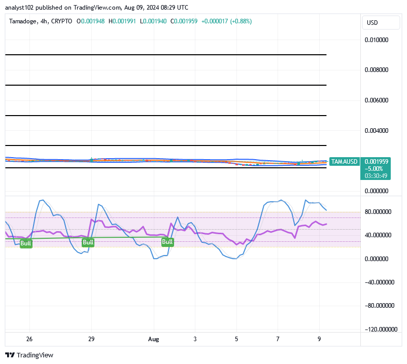 Tamadoge (TAMA/USD) Market Trades Lowly, Holds Spikes