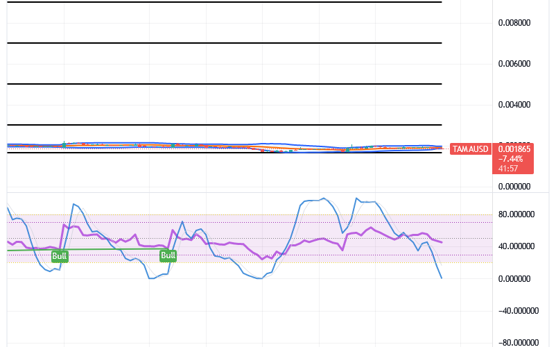 Tamadoge (TAMA/USD) Price Is in Ranges, Building Hikes