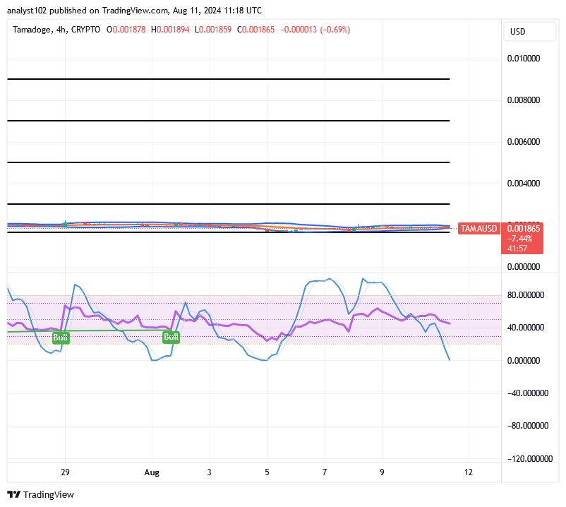 Tamadoge (TAMA/USD) Price Is in Ranges, Building Hikes