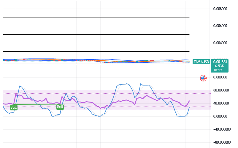Tamadoge (TAMA/USD) Price Is Fluctuating, Nurturing Rises