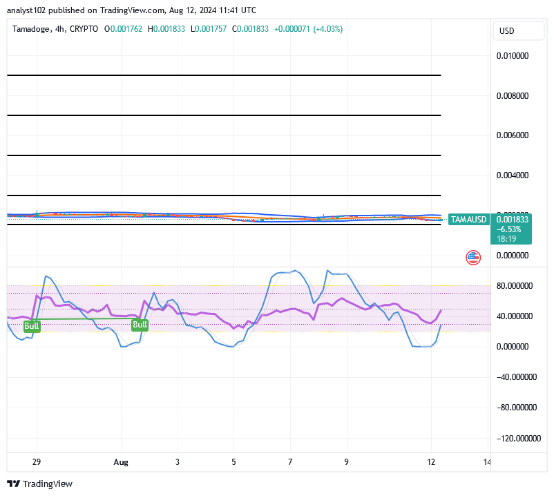 Tamadoge (TAMA/USD) Price Is Fluctuating, Nurturing Rises