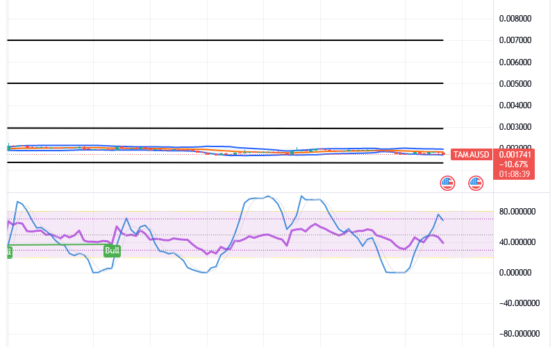 Tamadoge (TAMA/USD) Price Is Hovering, Holding Spikes