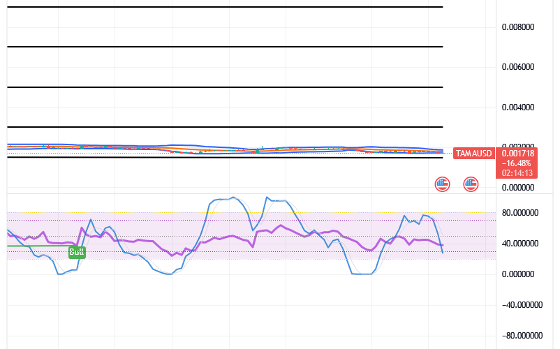 Tamadoge (TAMA/USD) Price Is Basing, Finding a Shoot-Up