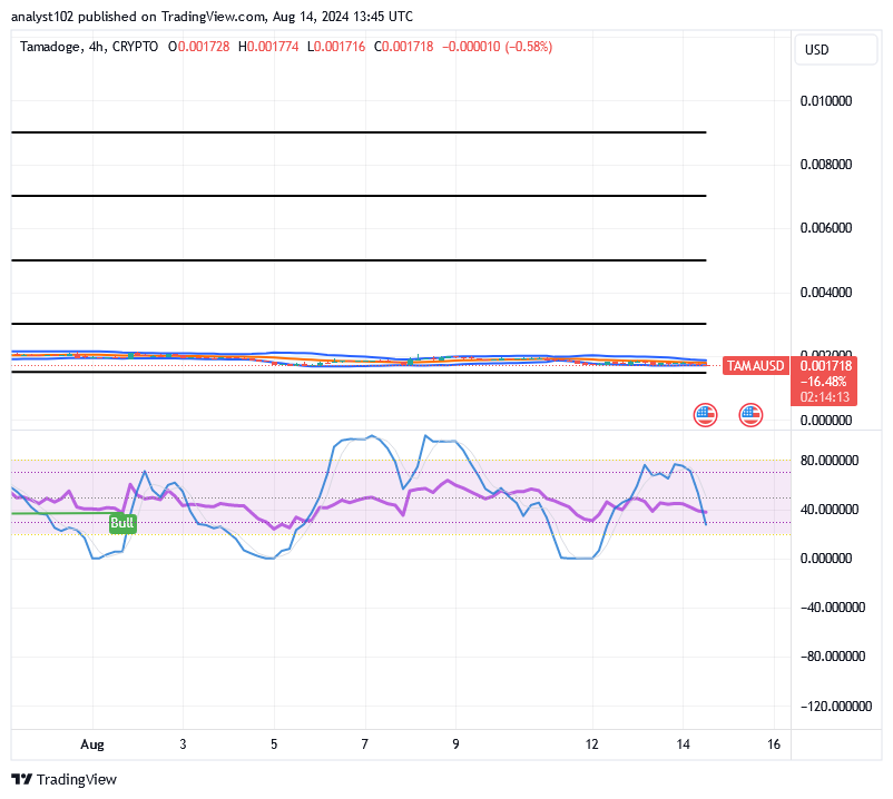 Tamadoge (TAMA/USD) Price Is Basing, Finding a Shoot-Up