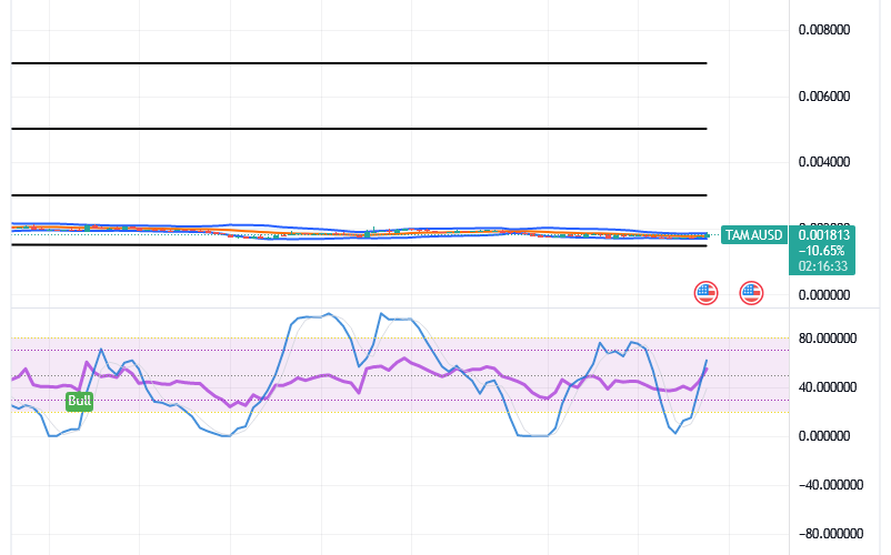 Tamadoge (TAMA/USD) Price Is Flatting, Fine-tuning Hikes