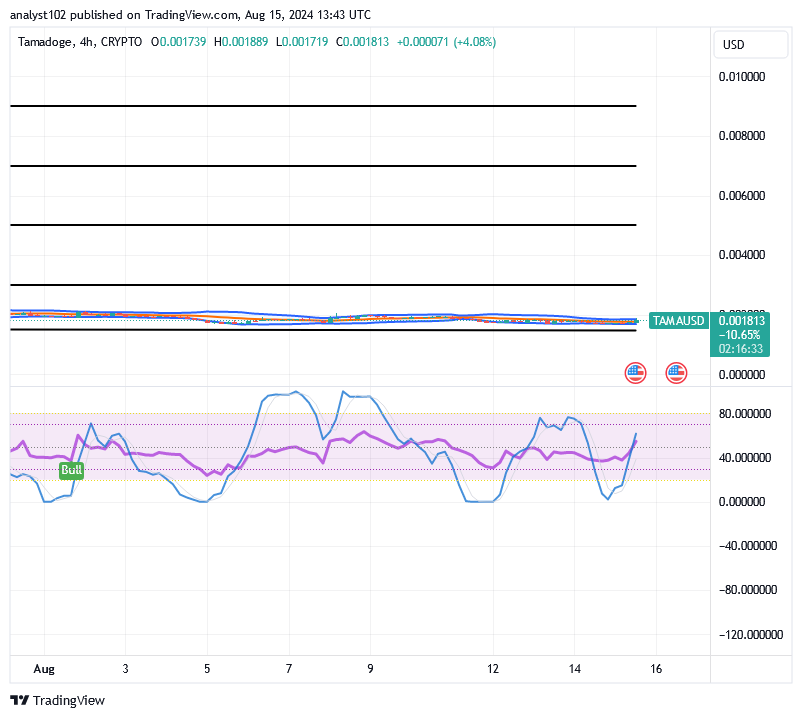 Tamadoge (TAMA/USD) Price Is Flatting, Fine-tuning Hikes