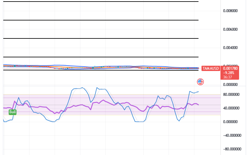 Tamadoge (TAMA/USD) Price Moves Easterly, Holding Rises