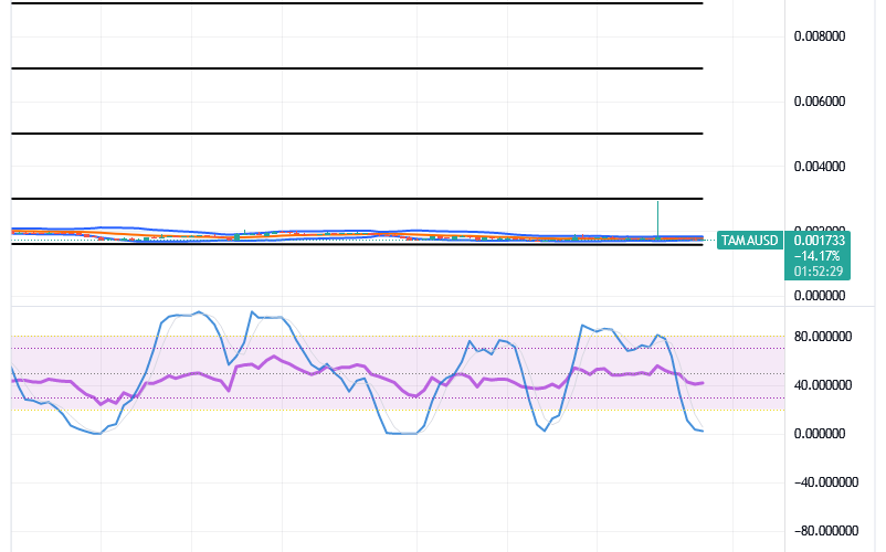 Tamadoge (TAMA/USD) Trade Holds Spirals, Building a Base