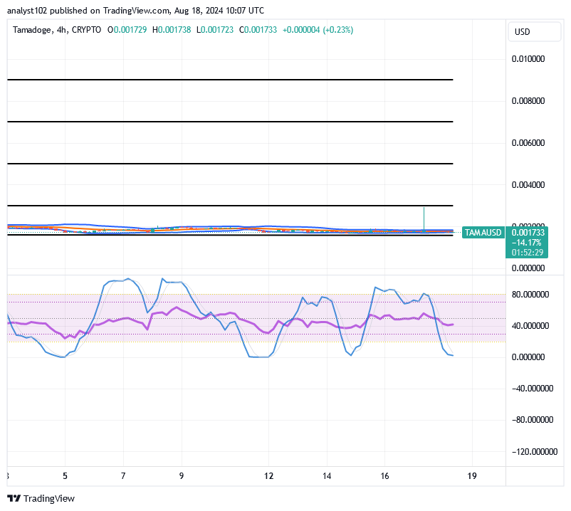 Tamadoge (TAMA/USD) Trade Holds Spirals, Building a Base