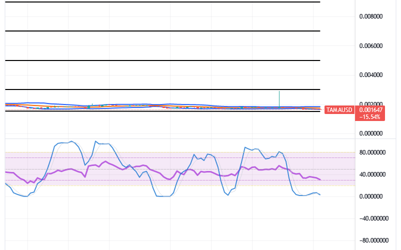 Tamadoge (TAMA/USD) Price Fluctuates, Preparing for Hikes