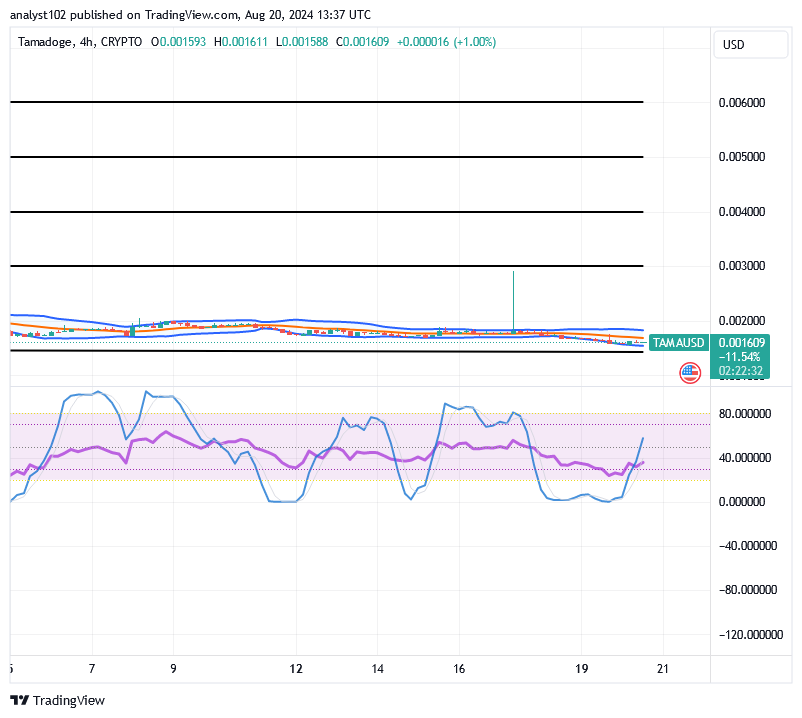 Tamadoge (TAMA/USD) Price Is Down, Waxing Bounces