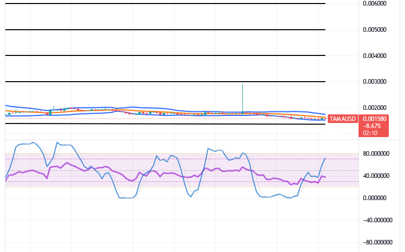 Tamadoge (TAMA/USD) Price Wags About, Conjecturing Spirals