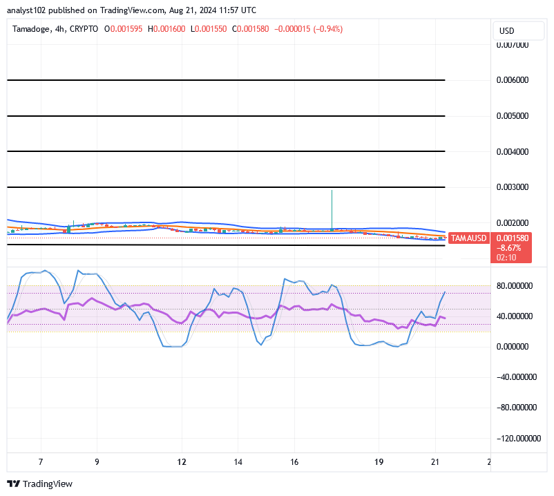 Tamadoge (TAMA/USD) Price Wags About, Conjecturing Spirals