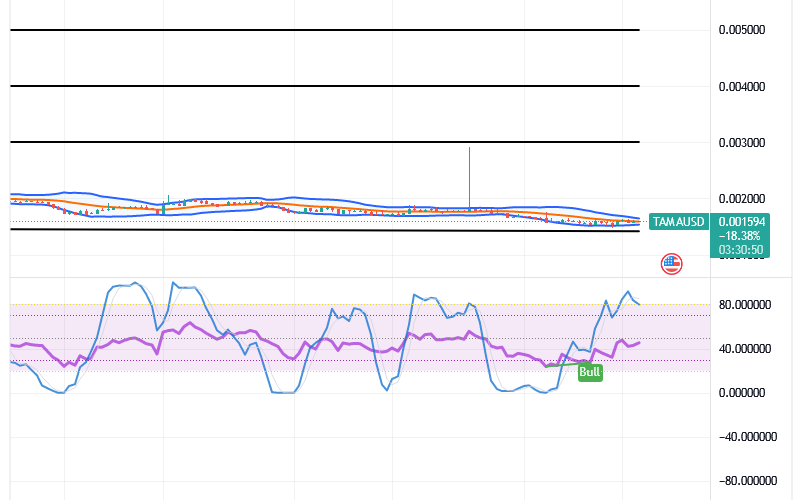 Tamadoge (TAMA/USD) Price Goes Reducing, Makes Spiking Signs