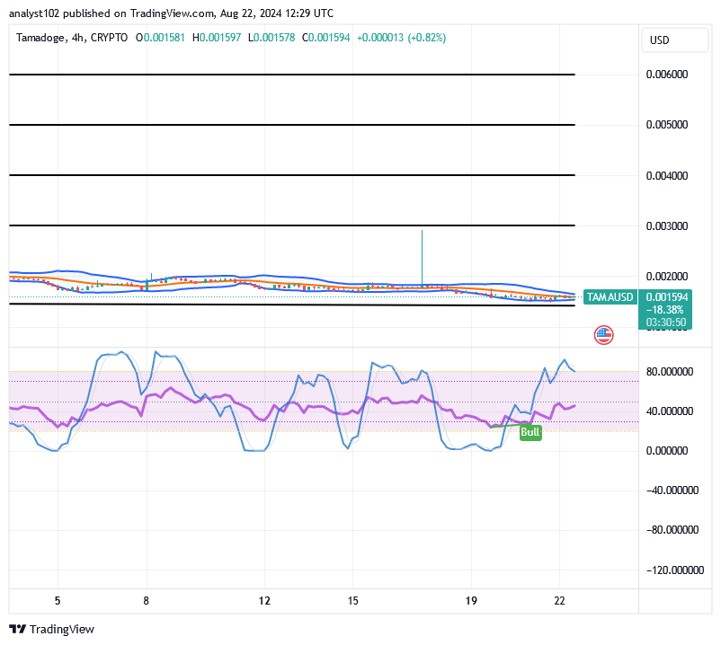 Tamadoge (TAMA/USD) Price Goes Reducing, Makes Spiking Signs