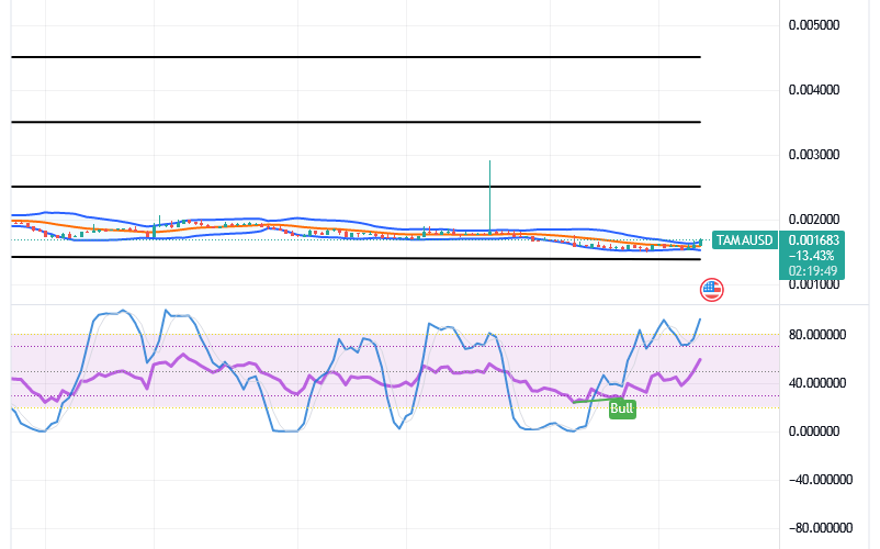Tamadoge (TAMA/USD) Price Holds Positive, Increases Rallies