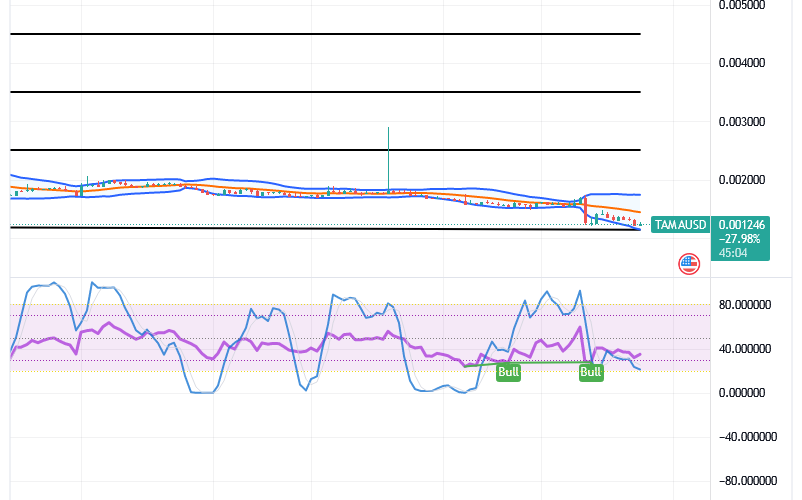 Tamadoge (TAMA/USD) Market Debases, Sustaining Rise Myths