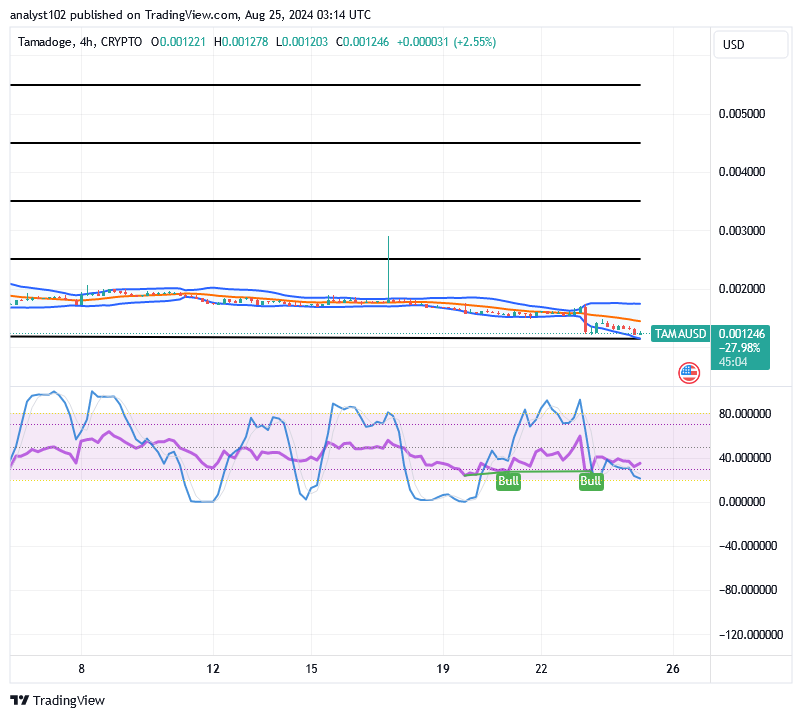 Tamadoge (TAMA/USD) Market Debases, Sustaining Rise Myths