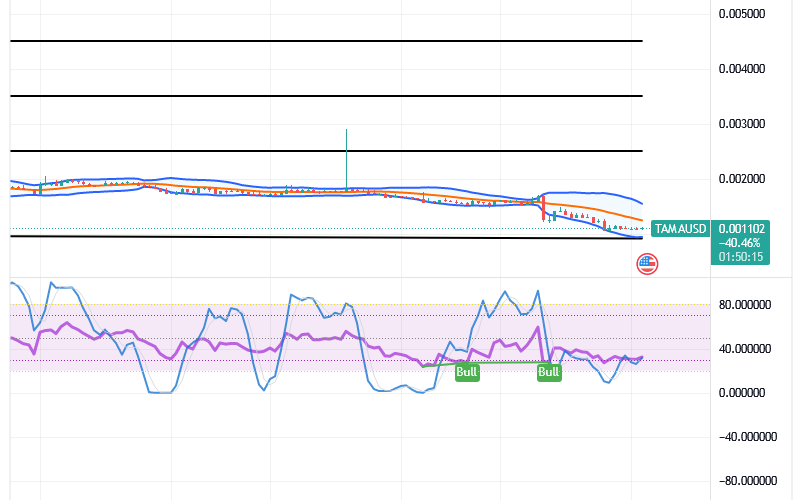 Tamadoge (TAMA/USD) Market Is Lowly, Finding Up-Strides