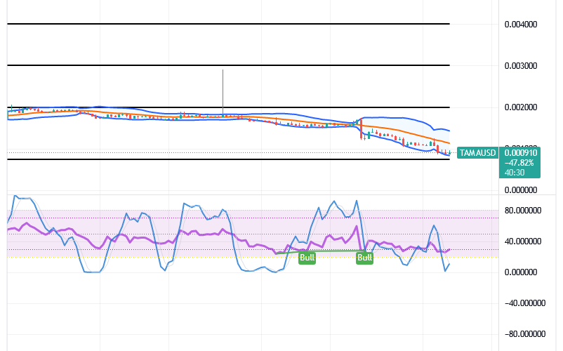 Tamadoge (TAMA/USD) Market Debases, Preparing Up-Swings