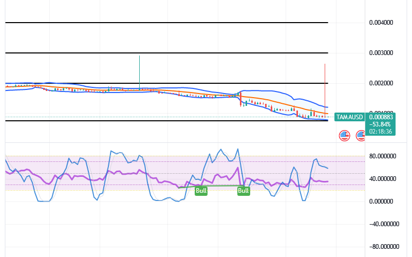 Tamadoge (TAMA/USD) Market Reverses, Garnering Skyrockets