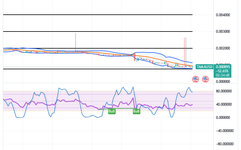 Tamadoge (TAMA/USD) Market Is Receding, Holds Rise Signs
