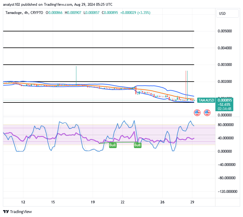 Tamadoge (TAMA/USD) Market Is Receding, Holds Rise Signs