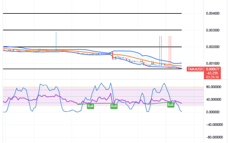 Tamadoge (TAMA/USD) Market Is Declining, Putting Up Spirals