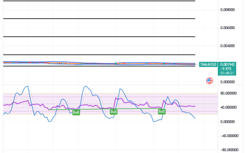 Tamadoge (TAMA/USD) Market Hovers at $0,002, Building Spikes