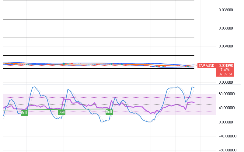 TAMA/USD, Tamadoge, TAMA, Technical Analysis
