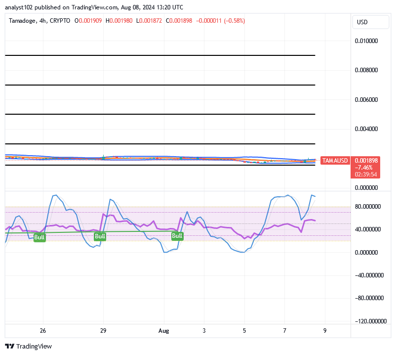 TAMA/USD, Tamadoge, TAMA, Technical Analysis