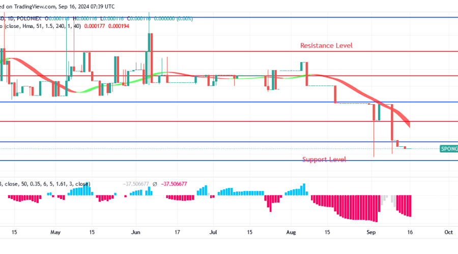 Sponge (SPONGEUSDT) Price Will Rise Above $0.000262 Under Bulls' Influence