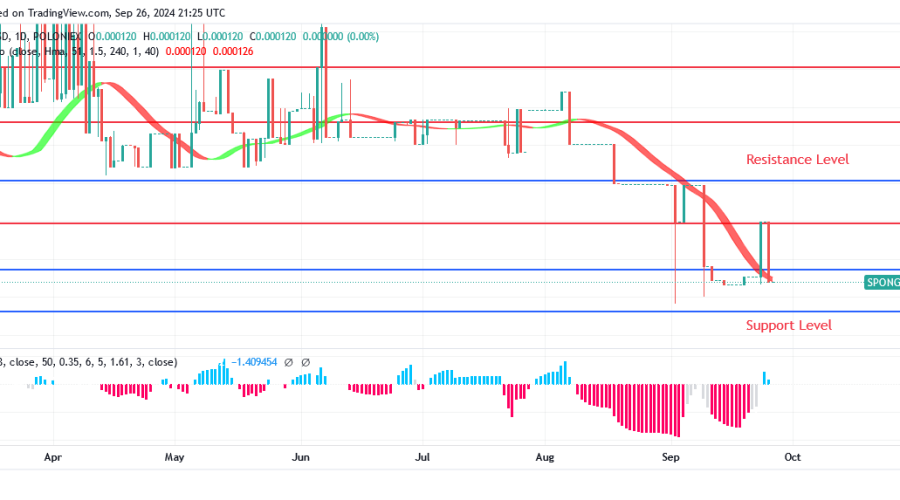 SPONGEUSDT Price: Aggressiveness of Bulls Could push Price Above $0.000262