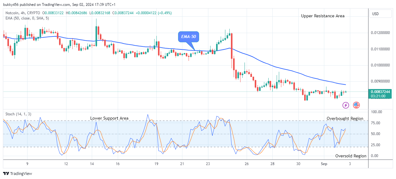 Notcoin (NOTUSD) Bullish Run May Continue 