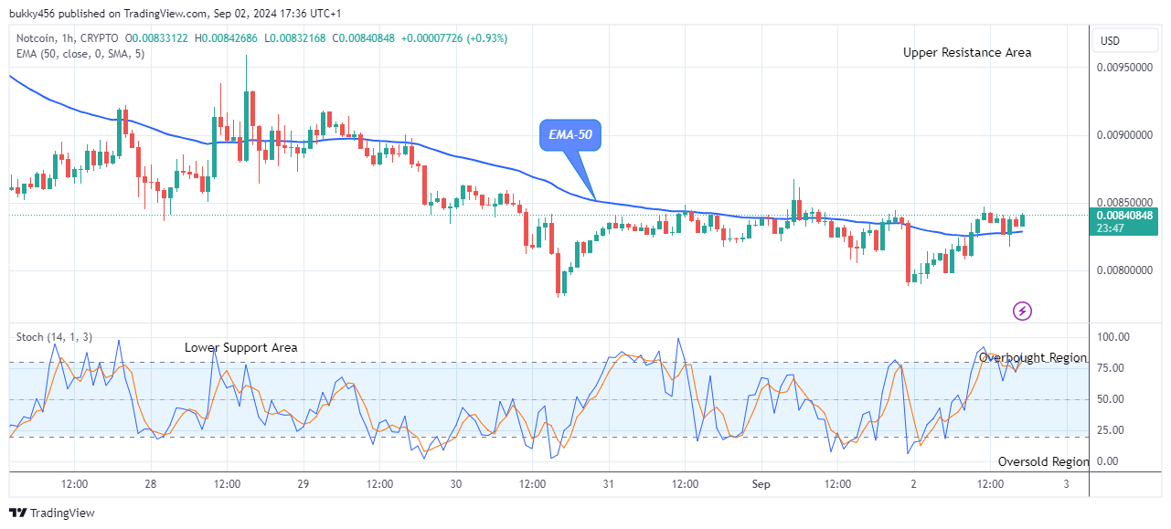 Notcoin (NOTUSD) Bullish Run May Continue 