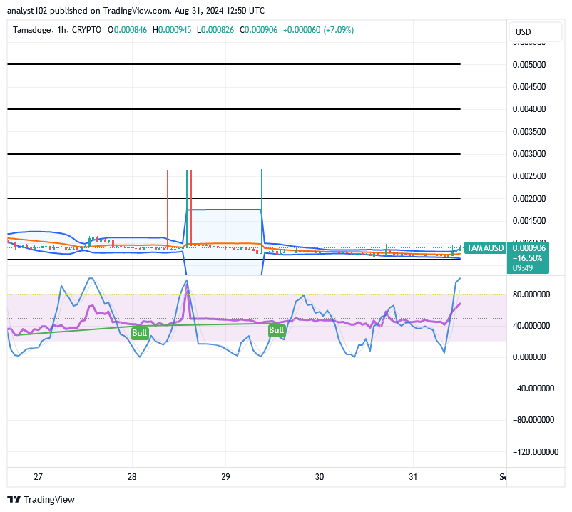 Tamadoge (TAMA/USD) Market Is Waxing High, Tending Hikes