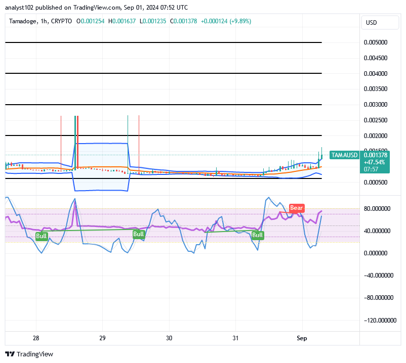 Tamadoge (TAMA/USD) Price Steps Up, Making Rallies