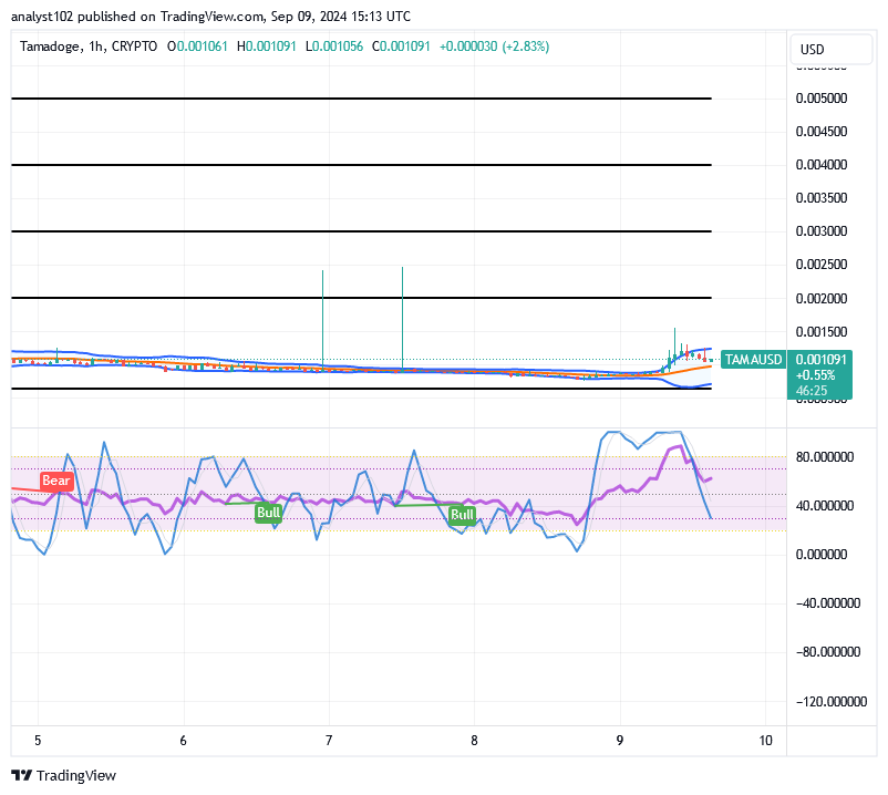 Tamadoge (TAMA/USD) Market Lowers, Holding Hikes