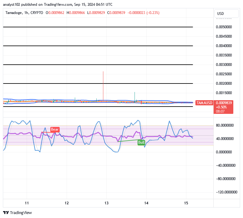 Tamadoge (TAMA/USD) Price Is Bottoming, Builds Up Catalysts