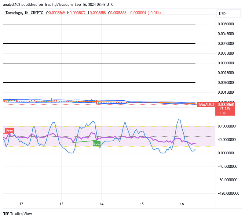 Tamadoge (TAMA/USD) Price Reshapes Basis, Holding Hikes 