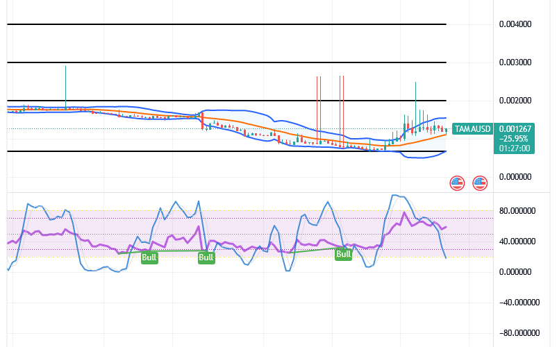 Tamadoge (TAMA/USD) Price Holds Bounces, Facing Resistances