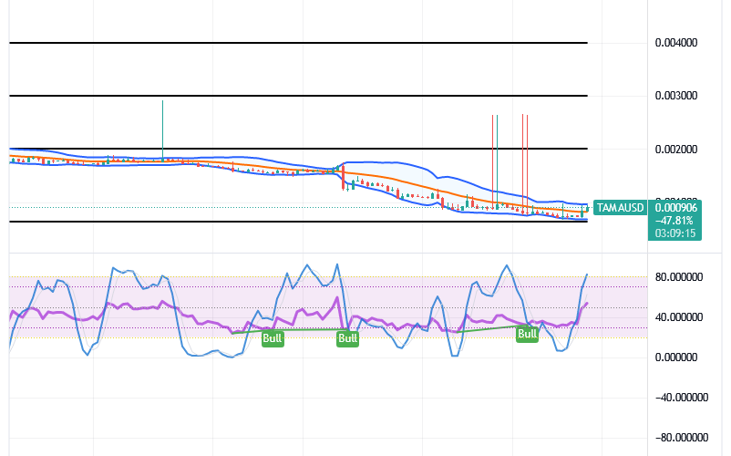 Tamadoge (TAMA/USD) Market Is Waxing High, Tending Hikes