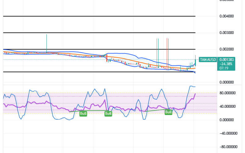 Tamadoge (TAMA/USD) Price Steps Up, Making Rallies