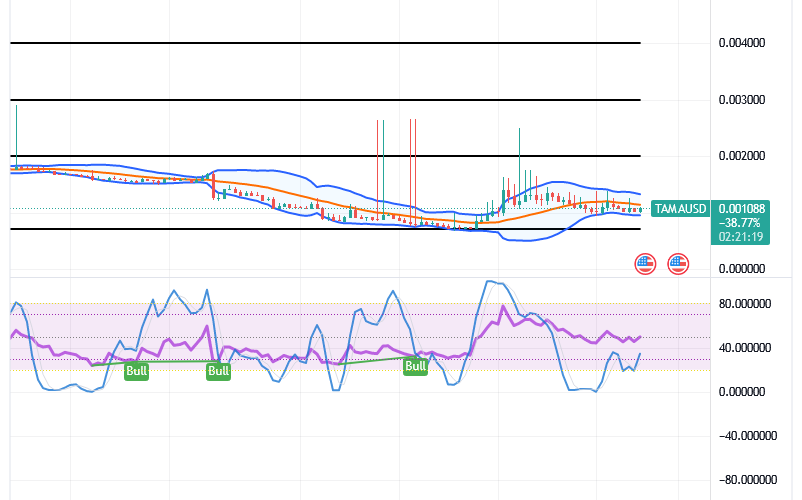 Tamadoge (TAMA/USD) Price Poises Hiking, Tending Rebounds